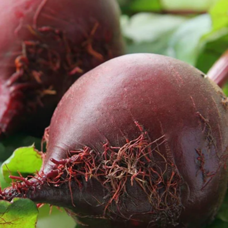 Load image into Gallery viewer, West Coast Seeds - Red Ace Beets Seeds | High-Yield, Sweet Flavor, 50-65 Days
