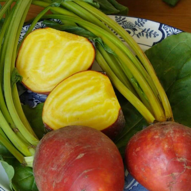 Load image into Gallery viewer, West Coast Seeds - Touchstone Gold Beets (4g) - Vibrant Golden Flesh and Sweet Greens
