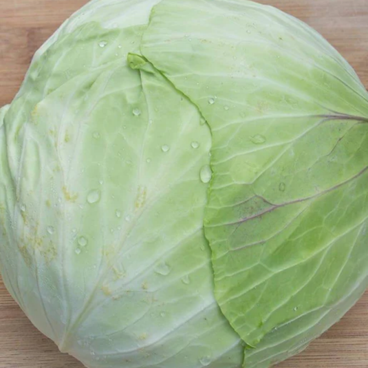 West Coast Seeds - Taiwan Cabbage F1 Hybrid - Heat Tolerant & High Yield (0.25g)