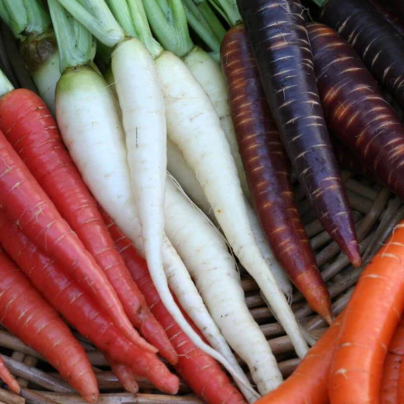 Load image into Gallery viewer, West Coast Seeds - Rainbow Blend Carrots - Colorful Harvest Variety (0.75g)
