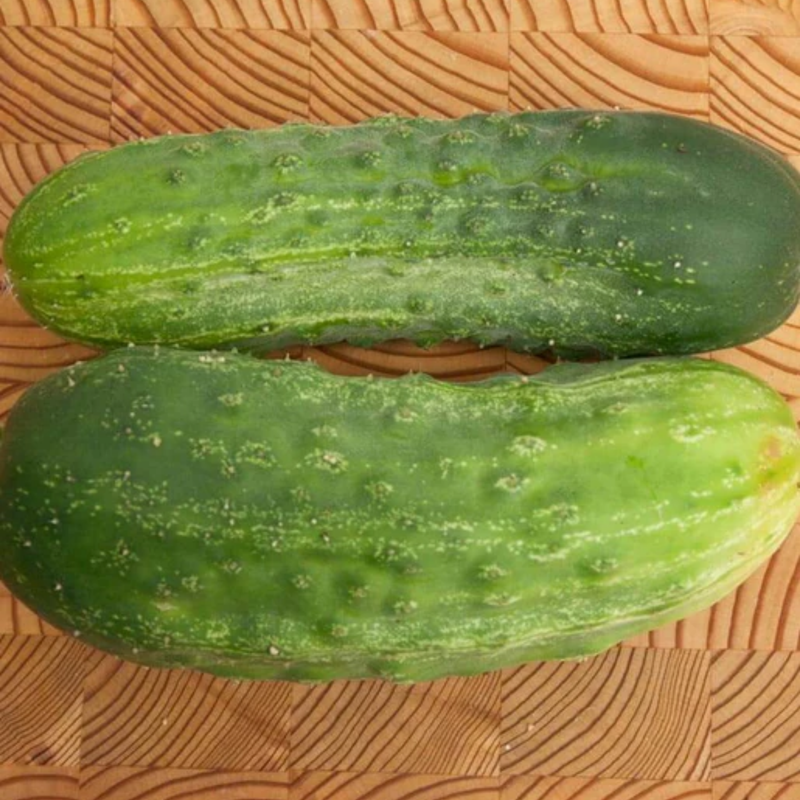 Load image into Gallery viewer, West Coast Seeds - Homemade Pickles Cucumbers - High-Yield, Crisp &amp; Flavorful (0.50g)
