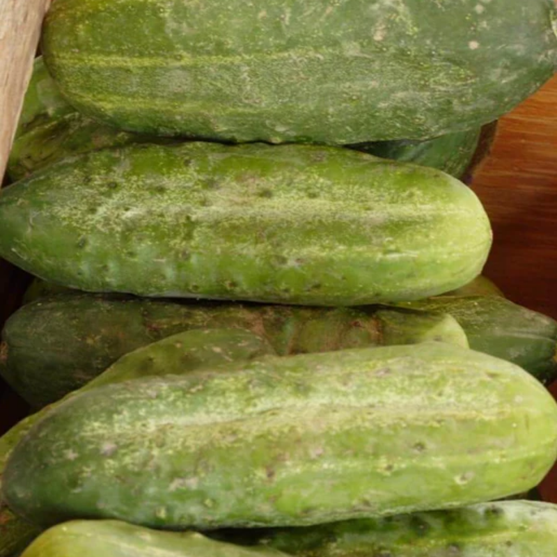 Load image into Gallery viewer, West Coast Seeds - Homemade Pickles Cucumbers - High-Yield, Crisp &amp; Flavorful (0.50g)
