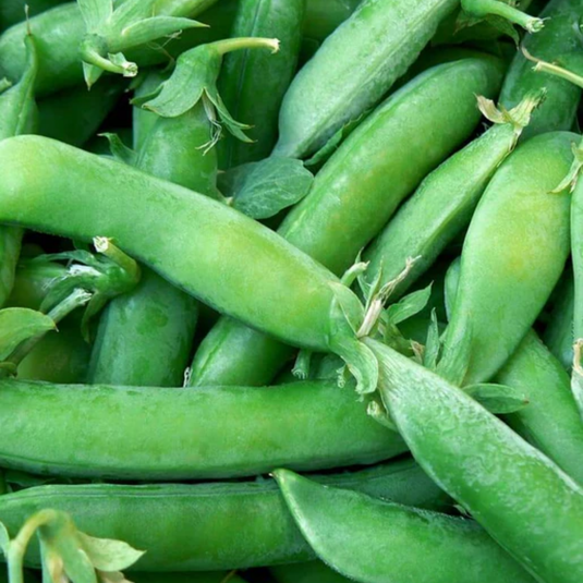 West Coast Seeds - Super Sugar Snap Peas (25g) - Sweet, Crunchy, Vigorous