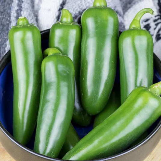 West Coast Seeds - Spicy Slice Jalapeno Peppers (0.25g) - Hybrid, Hot, Flavorful