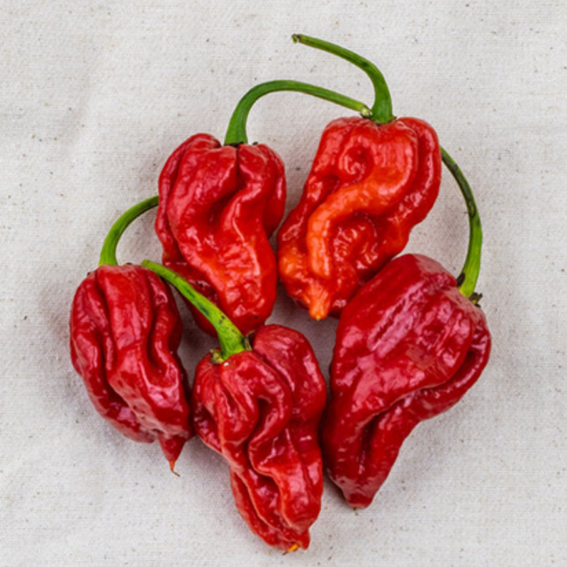 Load image into Gallery viewer, West Coast Seeds - Trinidad Moruga Scorpion Pepper Seeds - Super-Hot Chili
