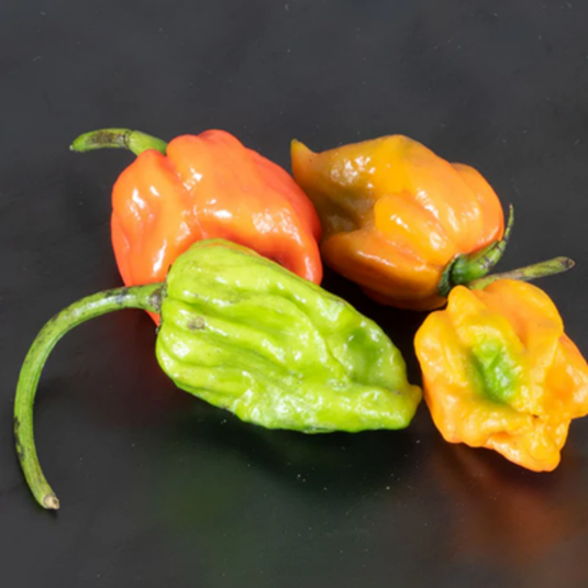 West Coast Seeds - Trinidad Moruga Scorpion Pepper Seeds - Super-Hot Chili