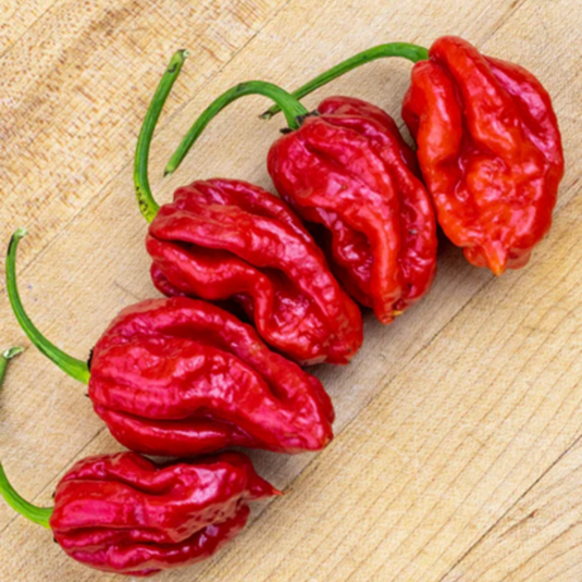 West Coast Seeds - Trinidad Moruga Scorpion Pepper Seeds - Super-Hot Chili