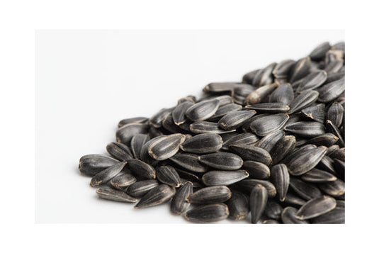 Mumm's Sprouting Seeds - Black Oil Sunflower (75g)