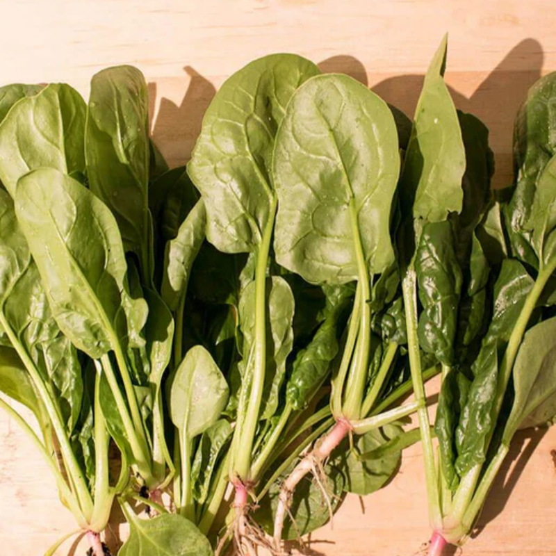 Load image into Gallery viewer, West Coast Seeds - Yukon Spinach - Fast-Growing &amp; Flavorful Hybrid (100 Seeds)
