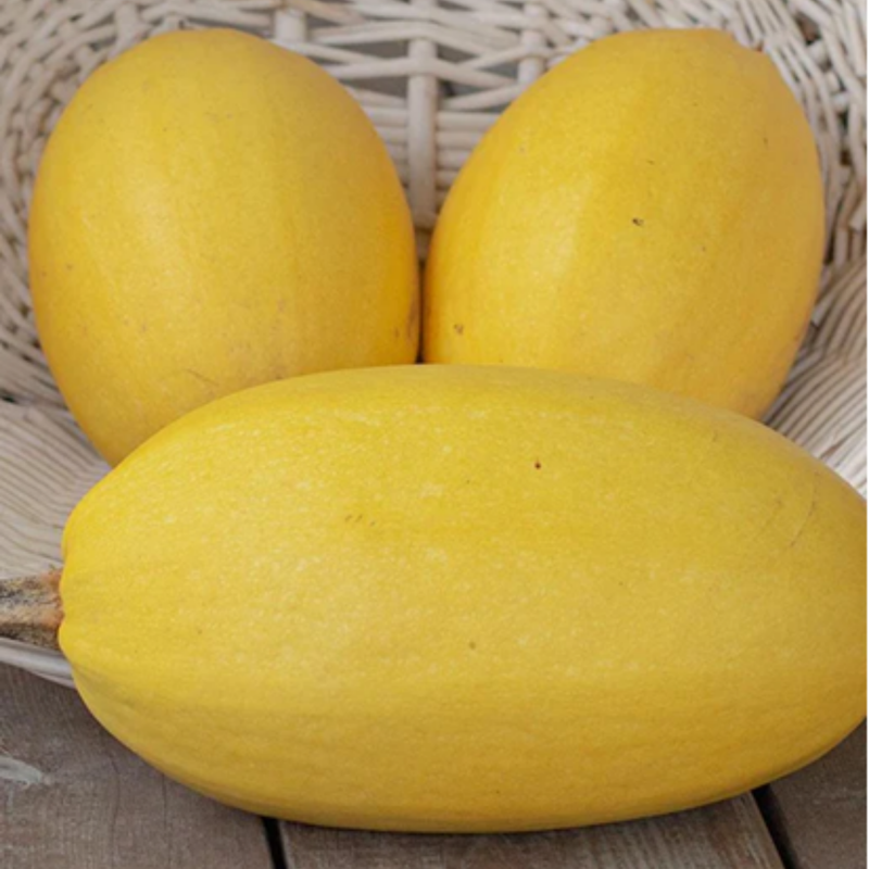 Load image into Gallery viewer, West Coast Seeds - Spaghetti Squash - Heirloom, Easy to Grow &amp; High-Yielding
