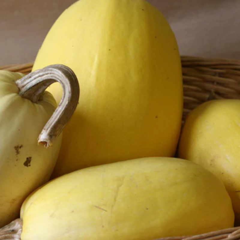 Load image into Gallery viewer, West Coast Seeds - Spaghetti Squash - Heirloom, Easy to Grow &amp; High-Yielding
