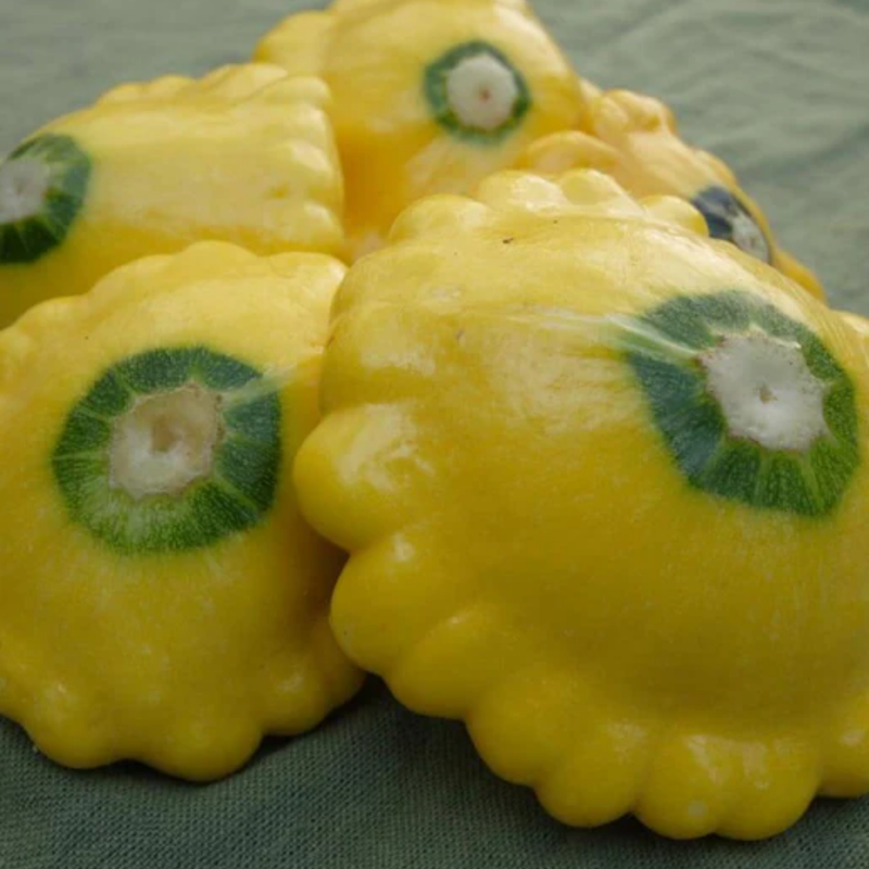 Load image into Gallery viewer, West Coast Seeds - Sunburst Squash - Vibrant &amp; Tender Pattypans (2g)
