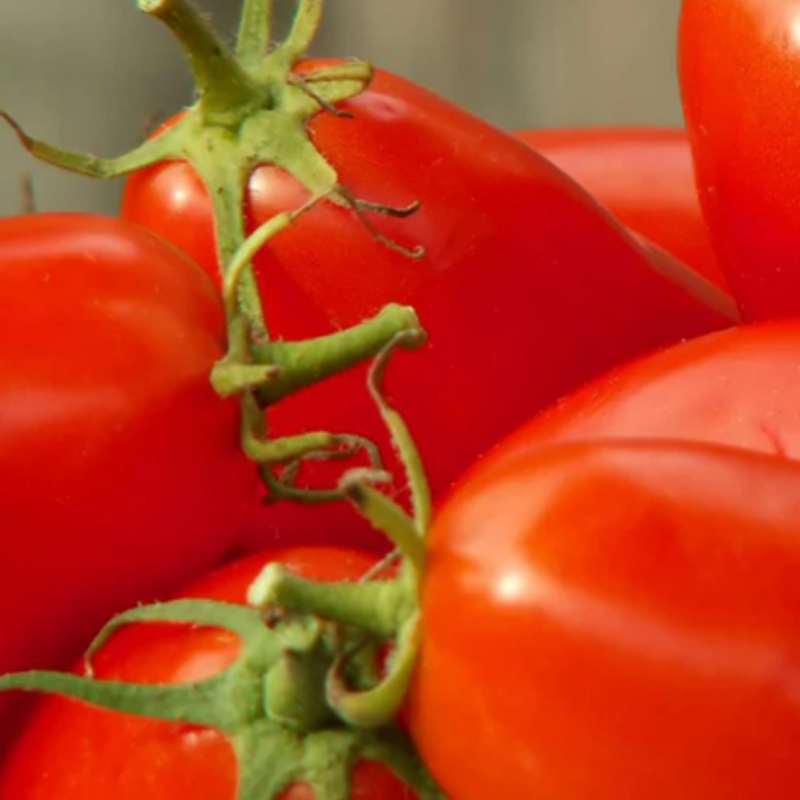 Load image into Gallery viewer, West Coast Seeds - Amish Paste Roma Tomato - Best Heirloom Paste Tomato for Rich Sauces
