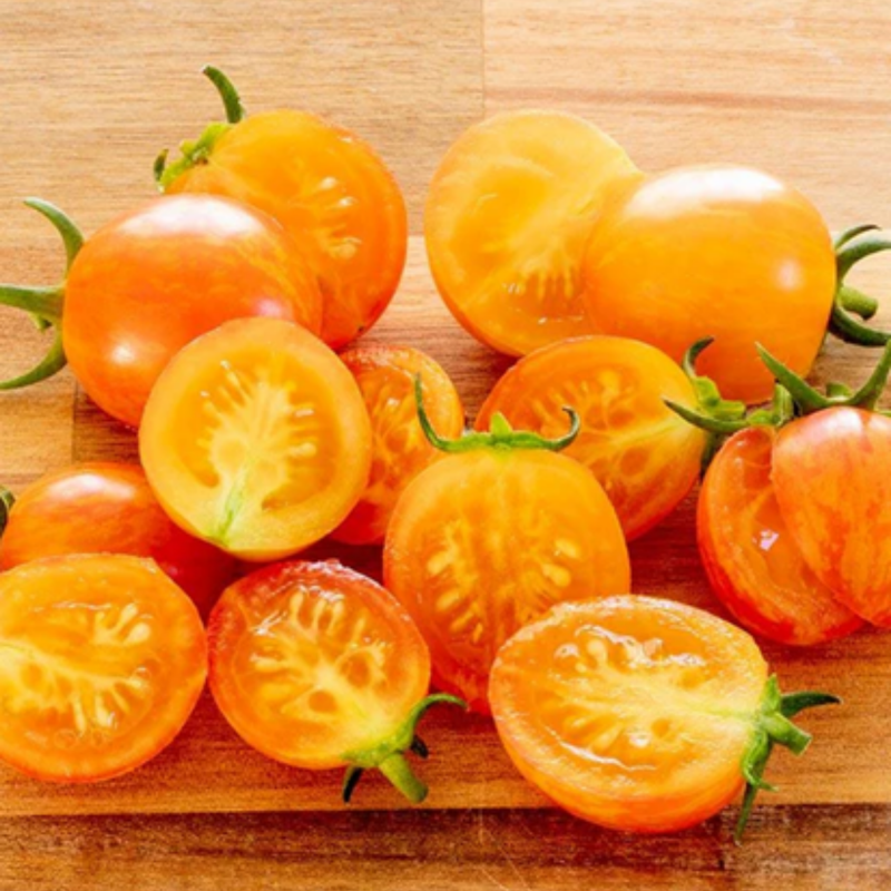 Load image into Gallery viewer, West Coast Seeds - Sunrise Bumble Bee Tomato - Sweet, Juicy &amp; Colorful
