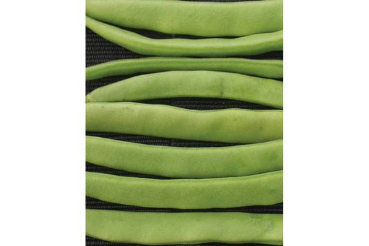 West Coast Seeds - Campo de' Fiori Romano Beans (20g) - Broad, Flat, Stringless Pods