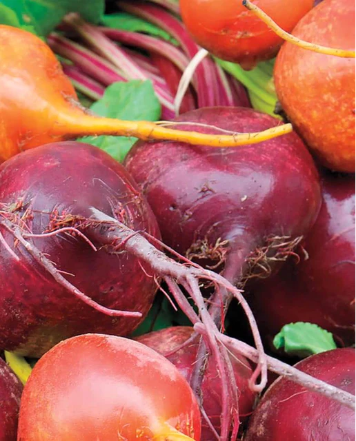 Load image into Gallery viewer, West Coast Seeds - Rainbow Beet Blend (5g) - Vibrant and Flavorful Beets
