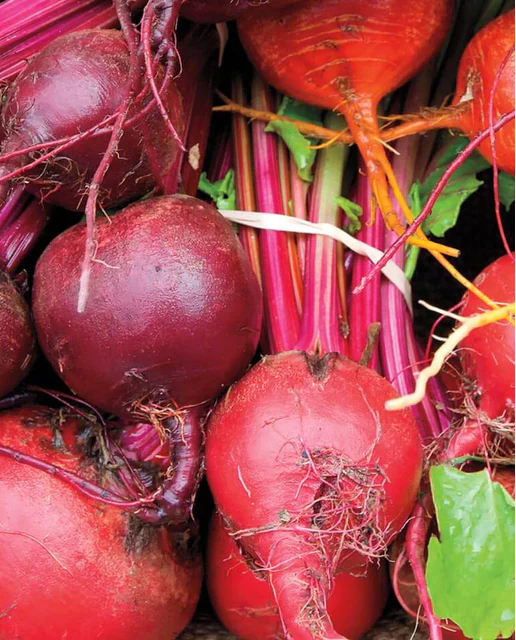 Load image into Gallery viewer, West Coast Seeds - Rainbow Beet Blend (5g) - Vibrant and Flavorful Beets
