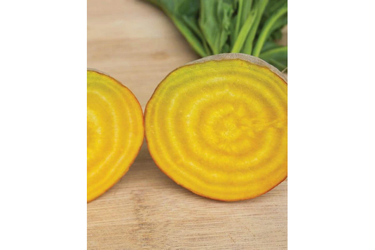 West Coast Seeds - Touchstone Gold Beets (4g) - Vibrant Golden Flesh and Sweet Greens