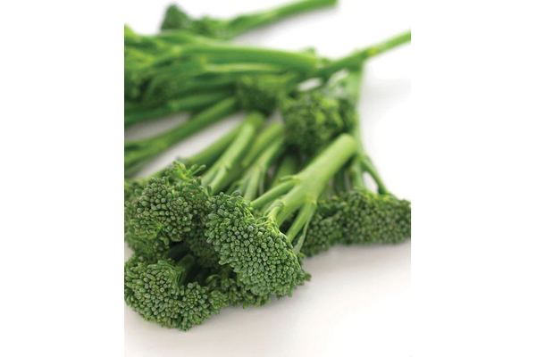 West Coast Seeds - Aspabroc F1 Broccolini (0.10g) - Sweet and Delicate Flavor