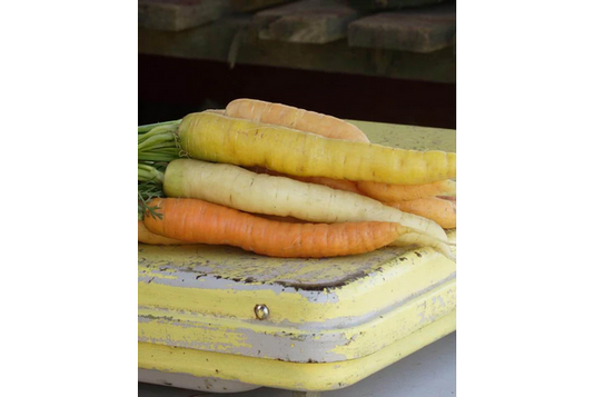 West Coast Seeds - Rainbow Blend Carrots - Colorful Harvest Variety (0.75g)