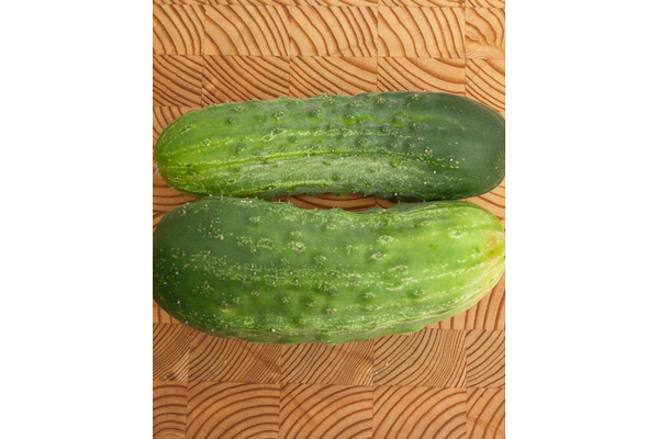 West Coast Seeds - Homemade Pickles Cucumbers - High-Yield, Crisp & Flavorful (0.50g)