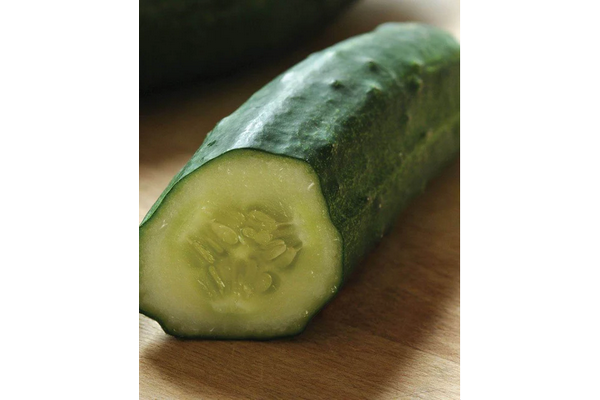 West Coast Seeds - Patio Snacker Cucumbers - Compact, High-Yield Variety (10 Seeds)