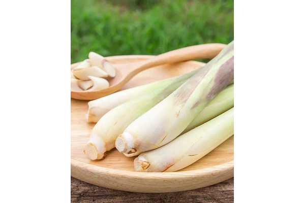 Load image into Gallery viewer, West Coast Seeds - Lemongrass Seeds - Aromatic, Productive, Container-Friendly (0.10g)
