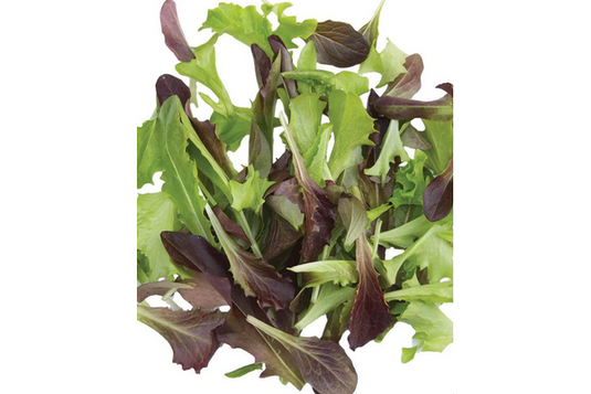 West Coast Seeds - Fast & Furious Blend Lettuce - Certified Organic, Rapid Growth (500 Seeds)