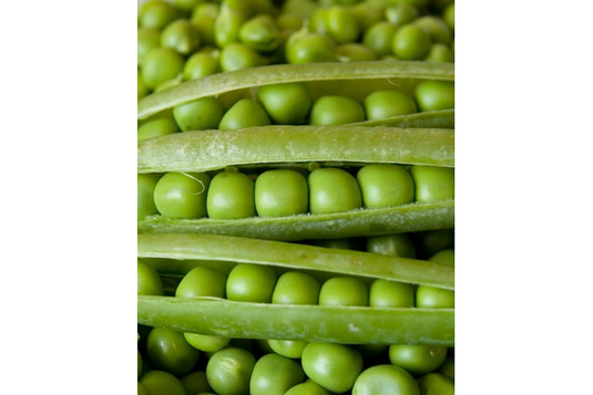 West Coast Seeds - Alderman Peas (25g) - Exceptional Flavor, Heirloom Variety