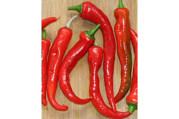 West Coast Seeds - Arapaho Peppers (10 Seeds) - Spicy, Early-Ripening, Container-Friendly