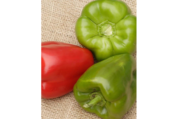 Load image into Gallery viewer, West Coast Seeds - California Wonder Peppers (0.25g) - Sweet, Blocky, High-Yield
