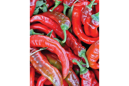 West Coast Seeds - Matan Peppers (0.25g) - Certified Organic, Sweet, Early-Maturing