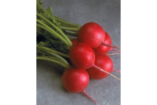 West Coast Seeds - Cherriette Radishes (0.8g) - Sweet, Crisp, Heat-Tolerant