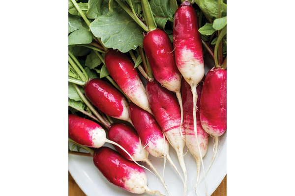 Load image into Gallery viewer, West Coast Seeds - French Breakfast Radish Seeds (5g) - Heirloom Delight
