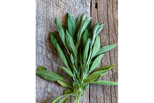 Load image into Gallery viewer, West Coast Seeds - Sage Certified Organic Seeds (1g) - Aromatic Culinary Herb
