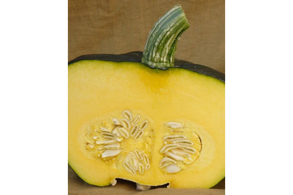 Load image into Gallery viewer, West Coast Seeds - Burgess Buttercup Squash - Sweet &amp; Heirloom Variety (2g)
