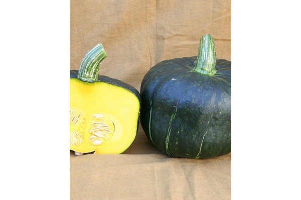 Load image into Gallery viewer, West Coast Seeds - Burgess Buttercup Squash - Sweet &amp; Heirloom Variety (2g)
