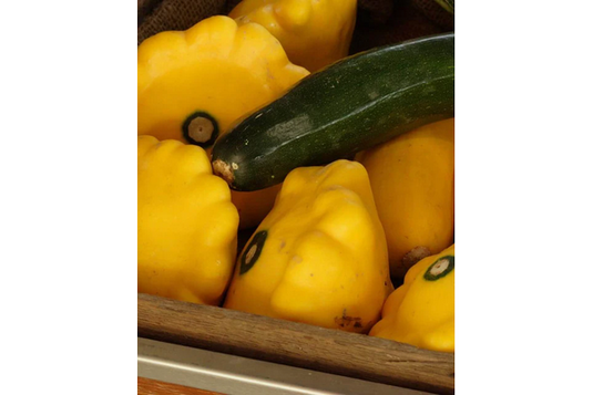 West Coast Seeds - Sunburst Squash - Vibrant & Tender Pattypans (2g)