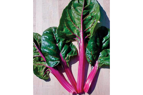 West Coast Seeds - Magenta Sunset Swiss Chard - Vibrant & Nutritious Greens (2g)