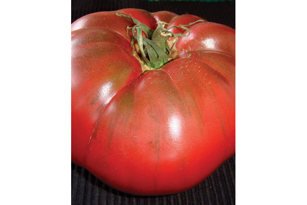 Load image into Gallery viewer, West Coast Seeds - Organic Black Krim Tomatoes - Juicy &amp; Flavorful (0.10g)
