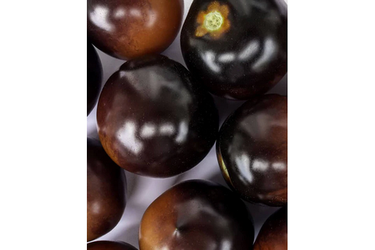 West Coast Seeds - Organic Indigo Rose Tomatoes - Antioxidant Rich (20 Seeds)