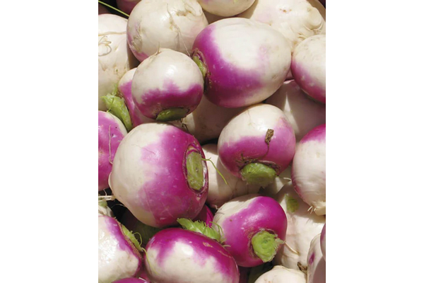 Load image into Gallery viewer, West Coast Seeds - Purple Top White Globe Turnips - Heirloom &amp; Sweet (1g)
