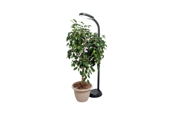 Agrobrite - Lampe pour plantes au sol 