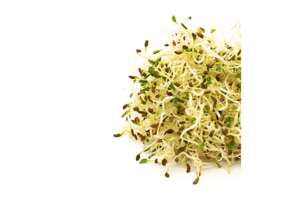 Load image into Gallery viewer, Mumm&#39;s Sprouting Seeds - Alfalfa (125g)
