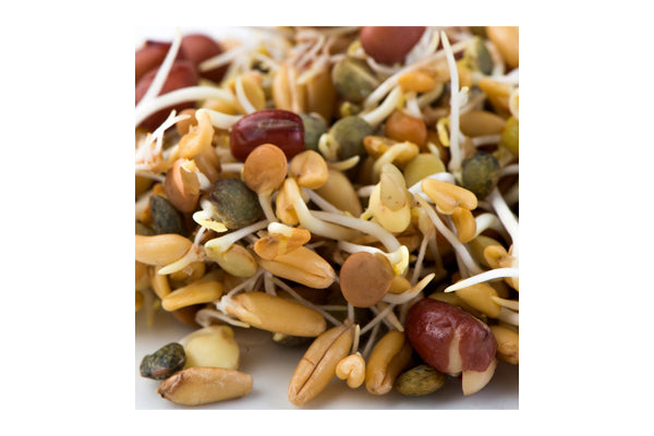 Load image into Gallery viewer, Mumm&#39;s Sprouting Seeds - Ancient Eastern Blend (125g)
