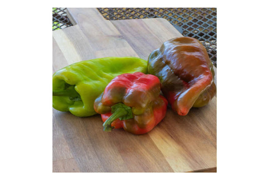 West Coast Seeds - Beaver Dam Peppers - Hungarian Heirloom, Mild Heat (0.25g)