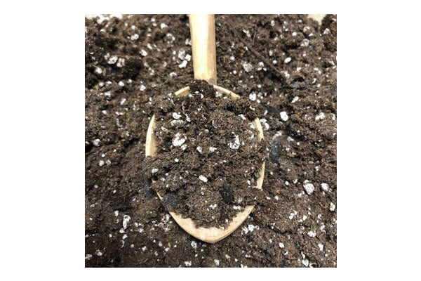 Black Swallow - KIS Organics Soil Mix 28L - Nutrient-Rich, Organic Growing Medium