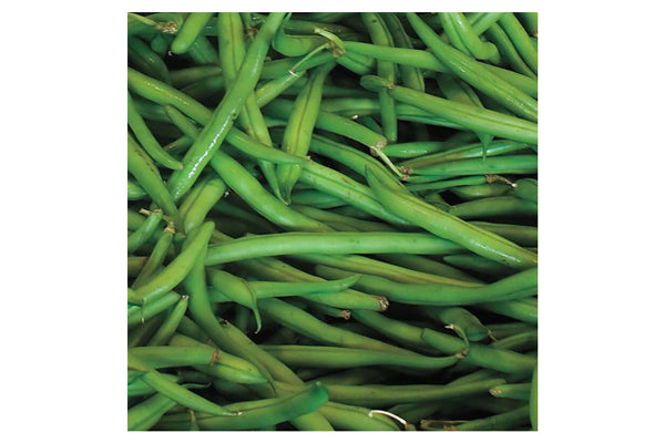 West Coast Seeds - Blue Lake Pole Beans (50g) - Tender, Meaty, and Stringless