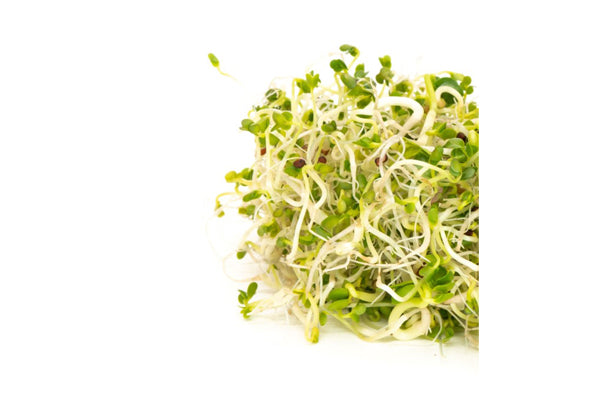 Load image into Gallery viewer, Mumm&#39;s Sprouting Seeds - Broccoli Brassica Blend (100g)
