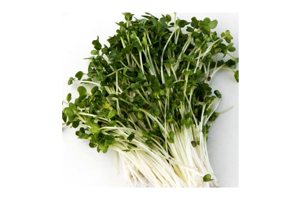 Load image into Gallery viewer, Mumm&#39;s Sprouting Seeds - Broccoli (100g)
